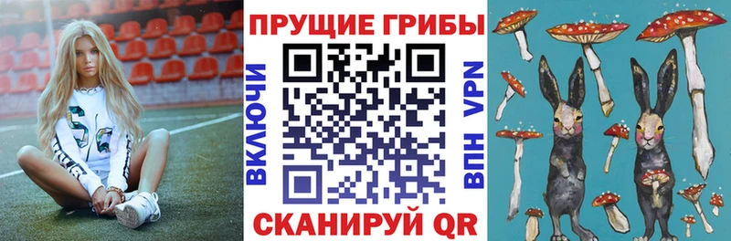 Псилоцибиновые грибы Magic Shrooms  Донской 